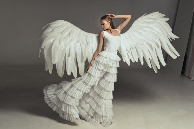 Ангельські крила, фото: скріншот