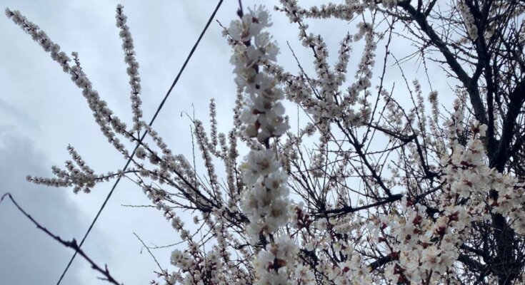 Весна, погода, фото: hyser.com.ua