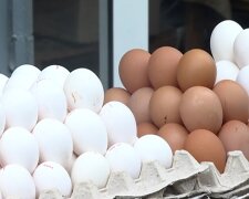 Украинцев предупредили о подорожании яиц. Лучше купить заранее