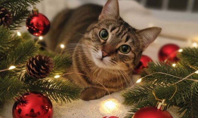 Новий рік, фото: Pinterest