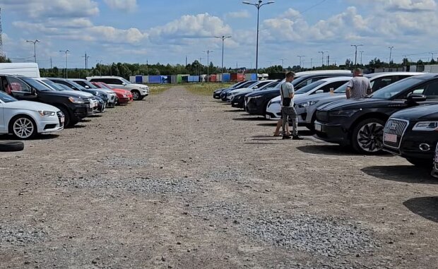 Водителей уже предупредили: скоро "Дія" будет выдавать важное предупреждение по вашей машине