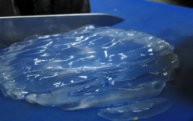 Приготовление медузы. Фото: pro.berdiansk.biz