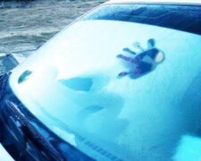 Этот способ поможет каждому автомобилисту: как вывести влагу из машины, чтобы она не ржавела и чтобы не потели окна