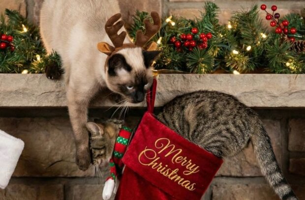 Новый год, фото: Pinterest