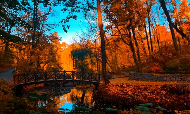 Бабье лето. Фото: YouTube