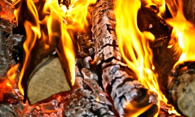 Горение дров, фото: youtube.com