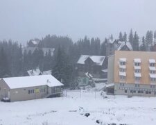 Снег в Карпатах. YouTube