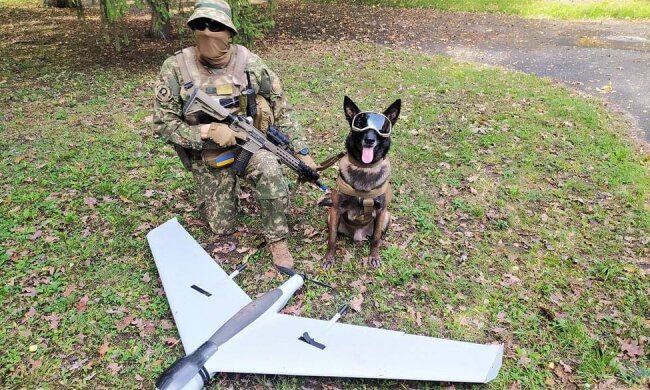 Путин будет в бешенстве: служебная собака ВСУ нашла секретное оружие Кремля. Фото