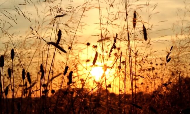 Рост соцвыплат и пенсий, рынок земли и бэби-боксы по-новому. Топ новаций с 1 июля в Украине