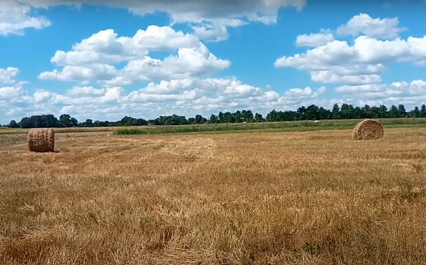 Поля Украины. Фото: скриншот YouTube-видео.