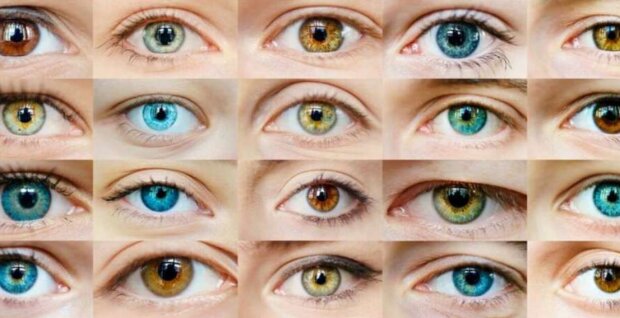 Карі чи світлі: вчені розповіли, як колір очей впливає на роботу серця