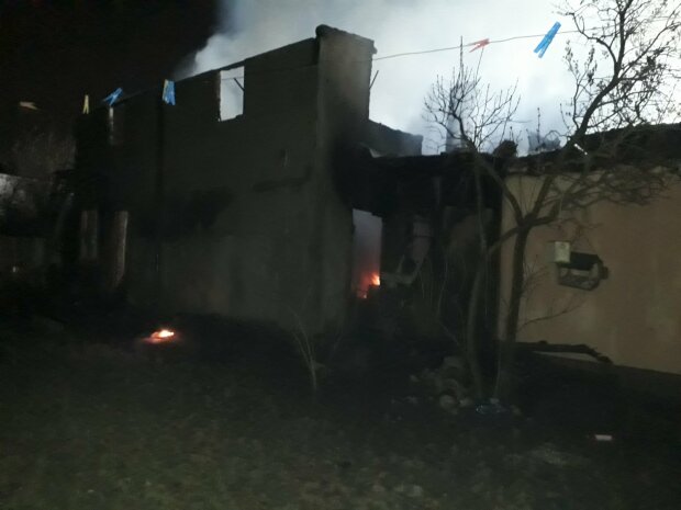Пожар в Киевской области. Фото: dsns.gov.ua