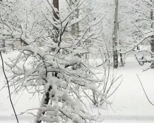 Сніжить і рябить. Синоптики назвали дату наступного снігопаду в Україні