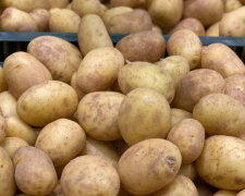 Багато хто цього не очікував: ціни на картоплю знову б'ють рекорди. До чого готуватися далі