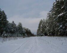 Як на Півночі: українцям розповіли, якою буде зима