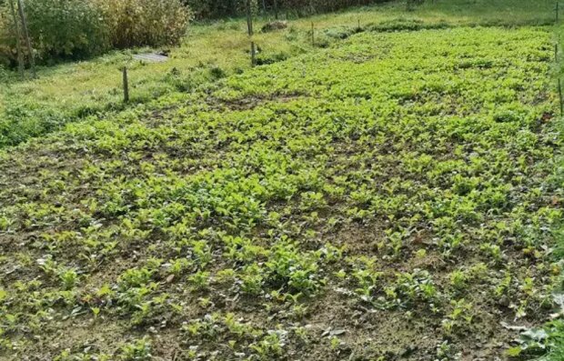 Город, зображення з вільних джерел