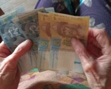 Грядут мизерные пенсии. Украинцам рассказали о перспективах действующей пенсионной системы