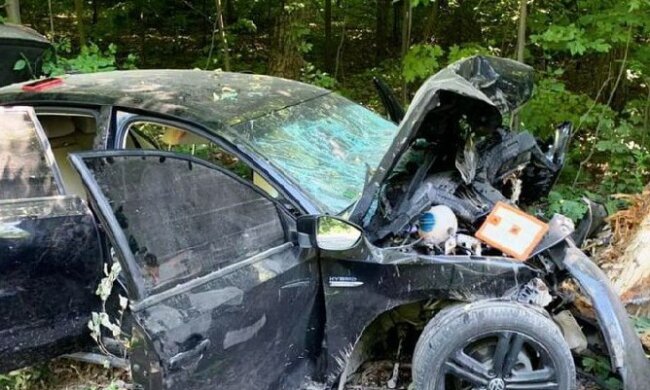 Вилетіла з траси в дерево: розбилася відома українська спортсменка. Люди в салоні не вижили. Фото