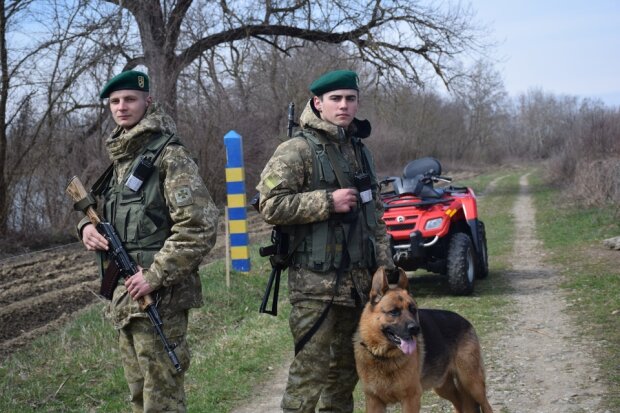 Українські службові собаки оснащені краще за російських солдатів. Фото