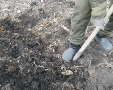 Вскапывание огорода: скрин с видео