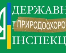 Микола Томенко назвав задачу Міндовкілля: "Міністерство безглуздих і непотрібних справ та корупції"