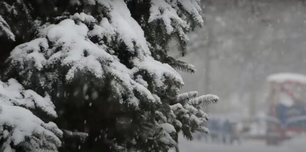 Замете снігом на кілька метрів. Синоптики прогнозують негоду в Україні