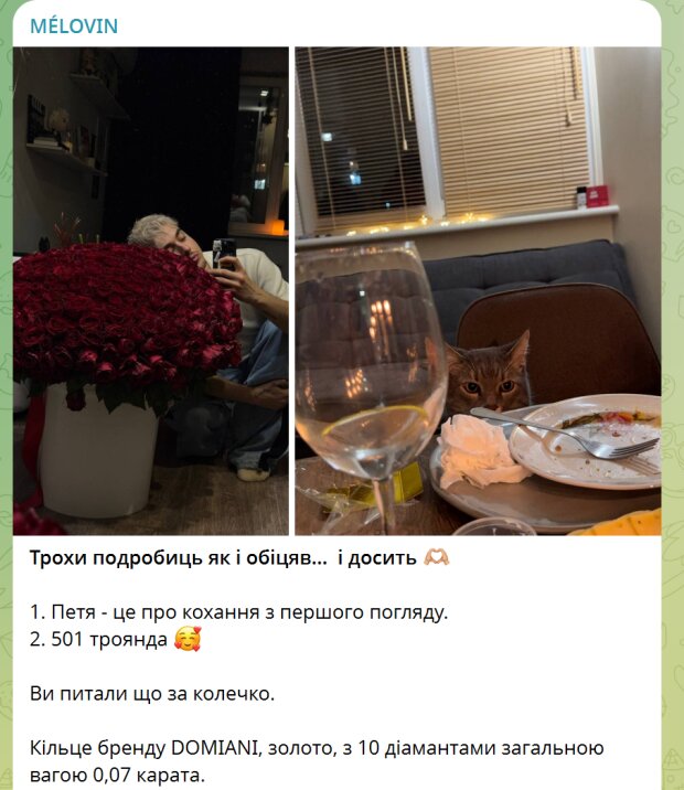 Публікація Melovin