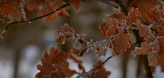 Зима повернеться в березні: українців попередили про похолодання і сніг