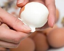 Как быстро очистить яйца от скорлупы за несколько секунд: подборка простых способов