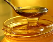 Солодкі ліки: лікарі розповіли, як за допомогою меду лікувати серцеві захворювання