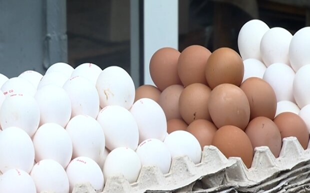 Українців попередили про подорожчання яєць. Краще купити заздалегідь
