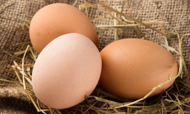 "Тільки з ранку з-під курочки": як перевірити, чи не обдурюють вас на ринку зі свіжістю яєць