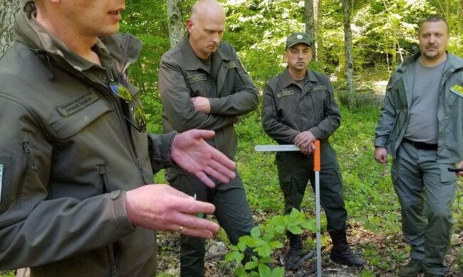 Мальований: "Дієвим інструментом у співпраці ДЕІ та правоохоронних органів є розроблена фахівцями інспекції інструкція щодо співробітництва"