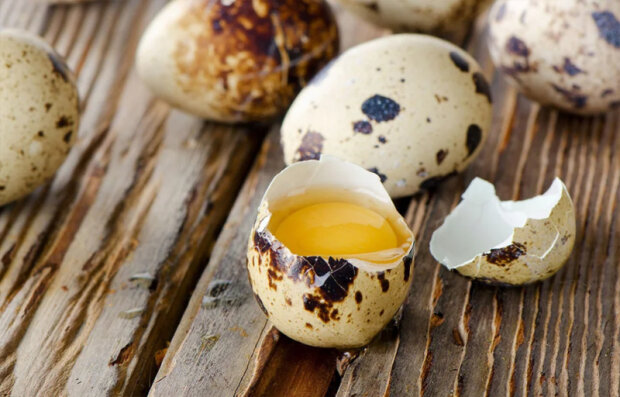 Знижують цукор у крові: названі незвичайні властивості перепелиних яєць