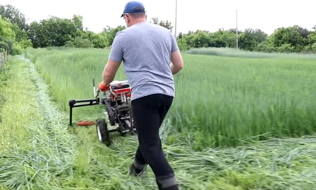 Жителів сіл та дач попередили про "городні штрафи": за що покарають на 6 тисяч гривень