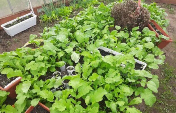 Город, зображення з вільних джерел