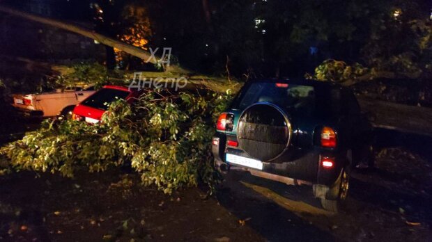 Дикий ураган та потоп у Дніпрі: деревами знищувало машини та обривало балкони. Фото