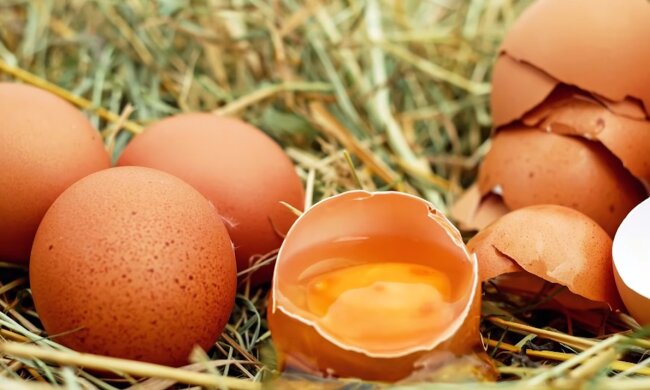 Названо продукти, що руйнують жовчний міхур
