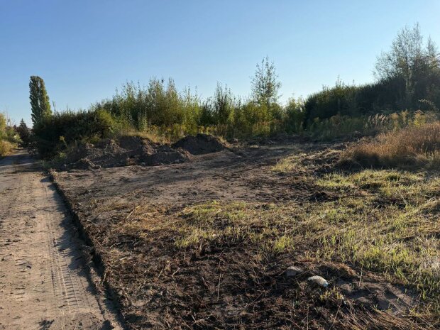 Сміття прибрали, але осад залишився: хроніка боротьби за чисту територію в Житомирі