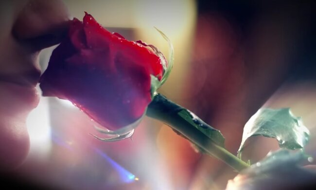 Холосятк 14 сезон