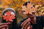 Гороскоп, осень, изображение: Pinterest