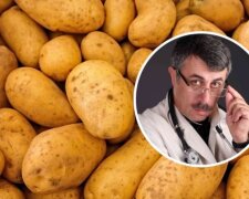 Доктор Комаровський про картошку