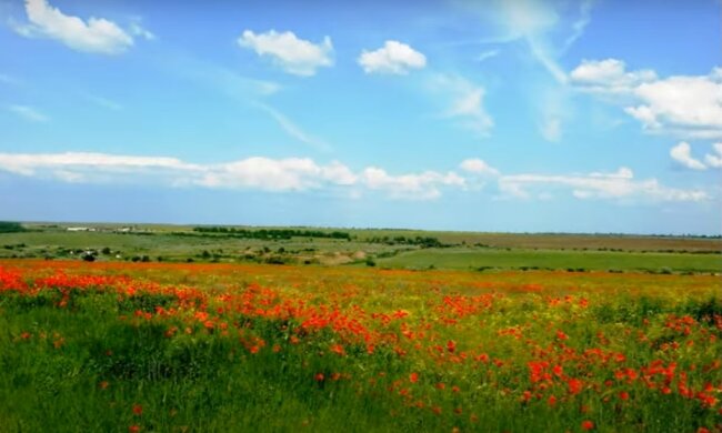 Погода в Украине. Фото: YouTube