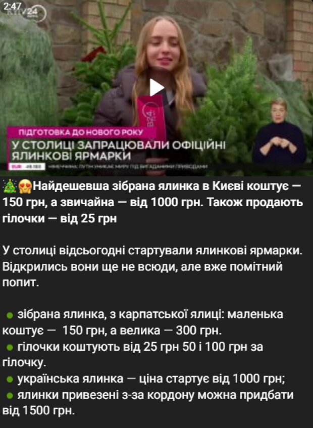 Ціни на ялинки