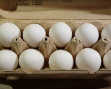 Куриные яйца.  Фото: скриншот YouTube-видео