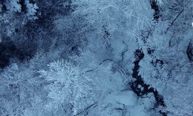 Сильные морозы. Фото: YouTube