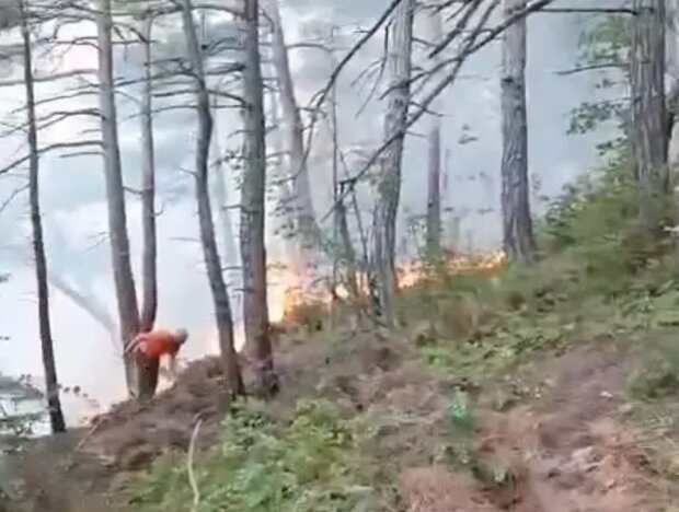 Пожежа в лісі біля "палацу путіна", кадр з відео
