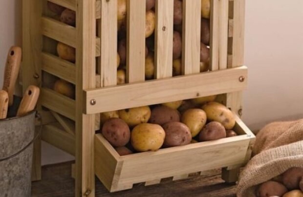 Зберігання картоплі, фото: youtube.com