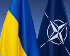 Вступление Украины в НАТО возможно еще до окончания войны: сделано важное заявление