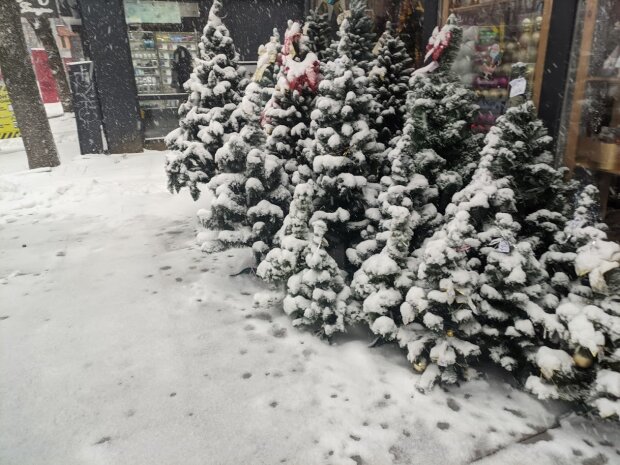 Снег в новогоднюю ночь: синоптики раскрыли погодный «секрет»